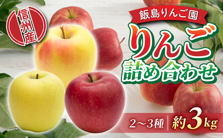 yѓ񂲉z{̐FX񂲂̋lߍ킹Zbg@3kgi2`3j10{`