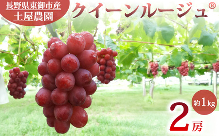 先行受付2026年発送[土屋農園]農家直送!クイーンルージュ(R)2房(約1kg)種なしぶどう 皮ごと ブドウ クイーンルージュ