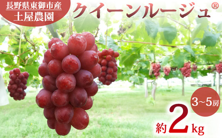 先行受付2026年発送[土屋農園]農家直送!クイーンルージュ(R)約2kg(3〜5房)種なしぶどう 皮ごと 長野県産ブドウ クイーンルージュ