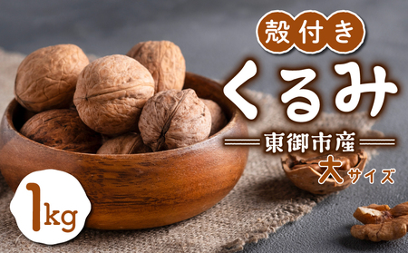 MZ kt 1kgiTCYj y쌧sYuhzNHKłЉ ߘa7NY V Y2025N11{ȍ~iA΁AjAjAtwsj