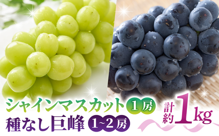 yst2026NzyƂ̂݉ʎzVC}XJbg1[Ȃ1`2[iv1kgȏj2026N9{`10{