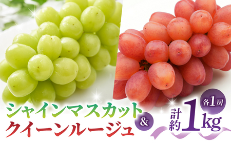 yst2026NzyƂ̂݉ʎzVC}XJbgNC[[W(R)e1[iv1kgȏj2026N9{`10{