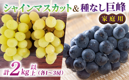 yst2026NzƒpVC}XJbgȂ@v2kgȏie1`3[jbƂ̂݉ʎ 2026N9{ȍ~{