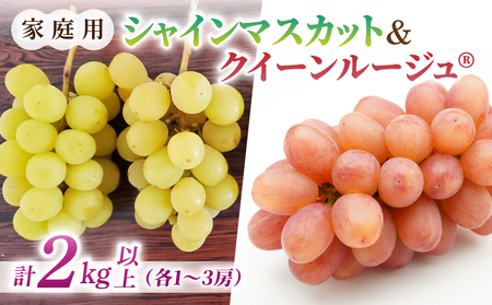 �y��s��t2026�N�����z�ƒ�p�V���C���}�X�J�b�g���N�C�[�����[�W��(R)�@���v2kg�ȏ�i�e1�`3�[�j�b���Ƃ̂݉ʎ��� ��2026�N9�����{�ȍ~��������