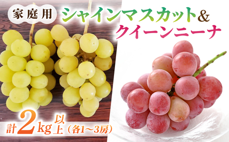 �y��s��t2026�N�����z�ƒ�p�V���C���}�X�J�b�g���N�C�[���j�[�i�@���v2kg�ȏ�i�e1�`3�[�j�b���Ƃ̂݉ʎ�����2026�N9�����{�`10�����{��������