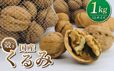 [アルファーム]令和7年産信濃くるみ 殻付きタイプ(LLサイズ)※2025年11月下旬以降発送