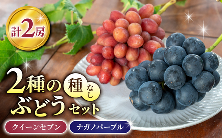 [先行受付2026年発送]2種の種なしぶどうセット(クイーンセブン・ナガノパープル) 合計2房|あおさく農園 ※2026年9月中旬以降発送予定