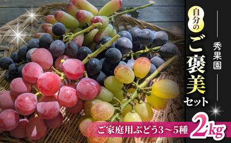 [先行受付2026年発送]自分のご褒美セット2kg(ご家庭用ぶどう3〜5種、計2kg)|秀果園 ※2026年10月中旬〜12月中旬順次発送