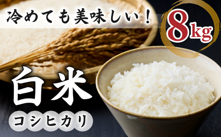 白米8kg(4kg×2袋) 冷めても美味しいコシヒカリ[小田農園]|最短4〜7日程度でお届け ※着日指定不可