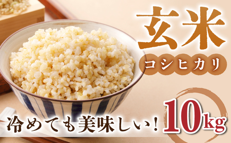 玄米10kg(5kg×2袋)冷めても美味しいコシヒカリ[小田農園] |最短4〜7日程度でお届け ※着日指定不可