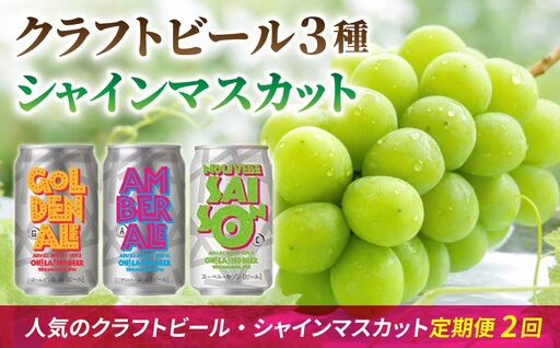 [2回定期便]シャインマスカットと地ビールの人気セット(シャインマスカット2房1.1kg以上とクラフトビール飲み比べ(3種10本))
