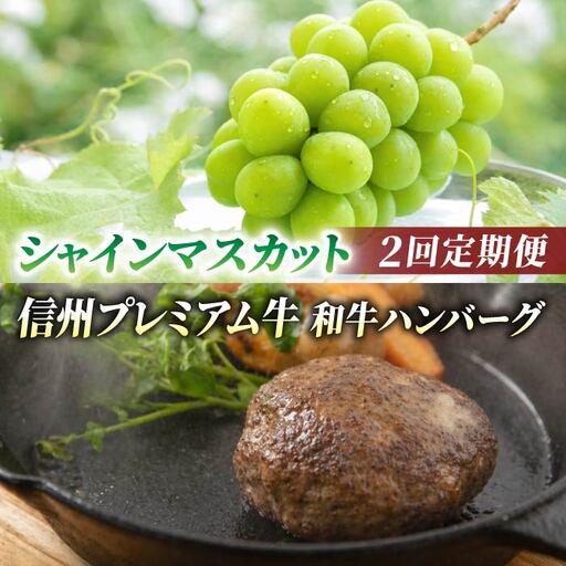 [2回定期便]信州プレミアム牛肉(ハンバーグ4個)・シャインマスカット 2房|[小田切牧場/JA信州うえだ]ぶどう 葡萄 大粒 果物 フルーツ 和牛 頒布会 長野