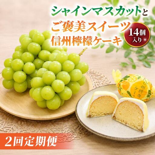 [2回定期便]高評価!シャインマスカットとご褒美スイーツ定期便(シャインマスカット 2房/信州檸檬ケーキ14個)|[JA信州うえだ/御菓子処花岡]ぶどう 葡萄 大粒 果物 フルーツ 菓子 頒布会 長野