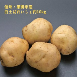 東御市産白土馬鈴薯約10kg[8〜12月お届け]
