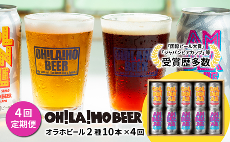 ゴールデンエール&アンバーエール 10本定期便(4回) クラフトビール 飲み比べ