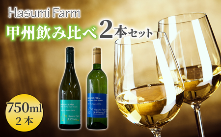 【限定】珍しい甲州種を使用した甲州飲み比べ 2本セット（のらのらふぁーむ）