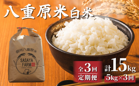 【寄附額改訂↓】令和８年新米予約【3回定期便】八重原米5kg（5kg×1袋）合計15kg 白米　※2026年10月以降順次発送｜笹屋農園「農薬削減長野県認証取得」先行予約 お米