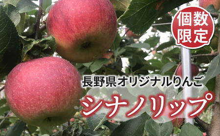 [ひかるの畑]個数限定!長野県オリジナルりんご「シナノリップ」約3kg りんごりんごりんごりんごりんごりんごりんご