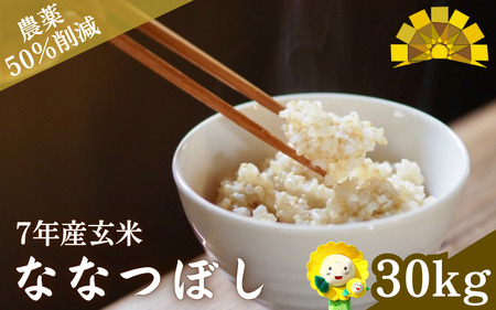 玄米 ななつぼし 新米 30kg / ごはん こめ 米 お米 北海道 北海道米 [kja400-nana-g30-R7]