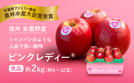 恋するりんご ピンクレディー® (小)