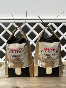 そねはら農園　【穂高有明産】特別栽培米こしひかり「精米20㎏」　