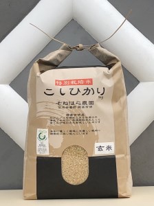 そねはら農園　【穂高有明産】特別栽培米こしひかり「玄米５㎏」