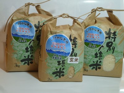 産直センター [「清流の里」しげやなぎ米]特別栽培米コシヒカリ玄米・白米セット