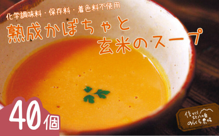 熟成かぼちゃと玄米のスープ　40個入り［NK-108］