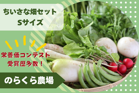 有機野菜ちいさな畑セット(Sサイズ 1〜2人前)[NK-120]