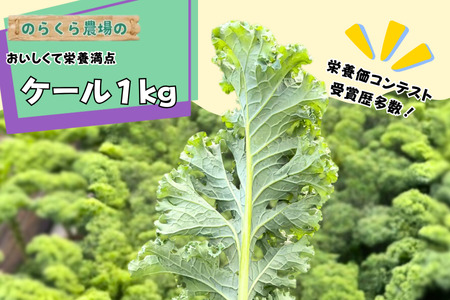 ̂炭_@P[1kg [NK-121]
