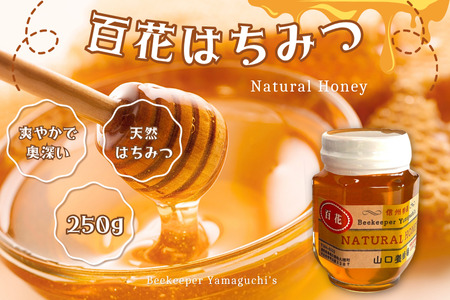信州特産!!「国産純粋 天然 百花はちみつ」250g|ハチミツ 蜂蜜 [YY-102-01]
