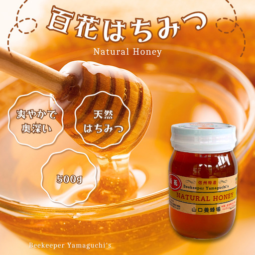 信州特産！！「国産純粋　天然 百花はちみつ」500ｇ｜ハチミツ 蜂蜜  [YY-102-2] 