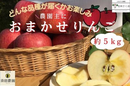 [期間限定]農家にお任せ!旬のリンゴ 詰め合わせ 5キロ箱[SU-111]