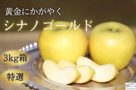 ɋP@VimS[h@RL@pyʌzmSK-102n