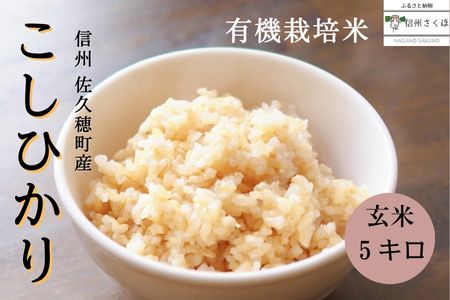 令和5年産 信州産 こだわり有機栽培米 こしひかり 玄米 5kg〔MA-07〕
