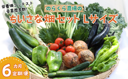 【先行受付・2026年発送】定期便６カ月　ちいさな畑セット（Lサイズ　３～４人前）（NK-T508）