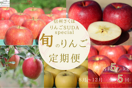 [先行受付・2025年発送]りんごやSUDA スペシャルセット 旬のりんご定期便 5kg入り贈答箱[限定50箱]〔RS-10〕