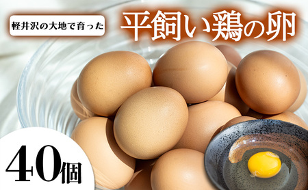 卵　40個 