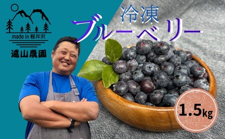[軽井沢の農家] 遠山農園より直送! 冷凍ブルーベリー 1.5kg (750g×2パック) 農家直送 軽井沢産 冷凍 ブルーベリー 遠山農園 軽井沢農家 国産