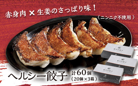ヘルシー餃子セット60個(20個×3箱)_惣菜・加工品 餃子 ぎょうざ ギョウザ_[配送不可地域:離島]