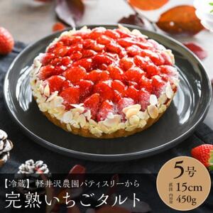 軽井沢農園パティスリーの完熟いちごタルト5号_菓子・スイーツ ケーキ _[配送不可地域:離島・北海道・沖縄県・中国・四国・九州]