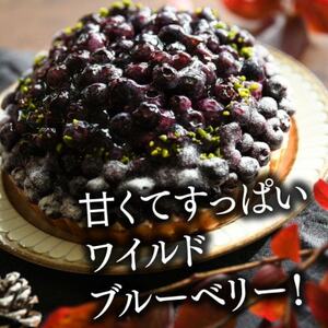 軽井沢農園パティスリーのブルーベリータルト_菓子・スイーツ ケーキ  _【配送不可地域：離島】【1591160】