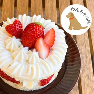 愛犬用 完熟いちごネイキッドケーキ Mサイズ 1個_ ペット用品  _【配送不可地域：離島】【1591177】