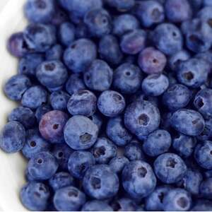 y2026Noו s\zy򍂌̐u[x[y1kgzyzsnFzy1671178z