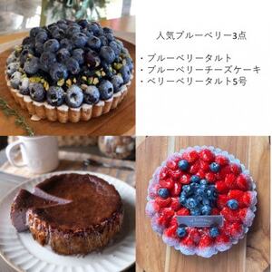 [毎月定期便]軽井沢の農園パティスリー 人気ブルーベリータルト・チーズケーキの3点セット全3回[配送不可地域:離島]