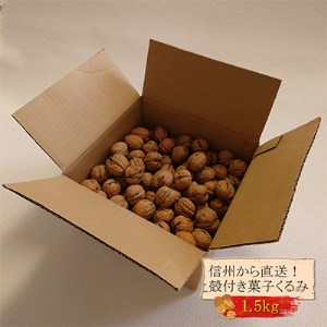 国産 菓子くるみ 殻付 1.5kg 信州 長野県 地元農家から自然の恵みをお届け_野菜 豆 まめ マメ_