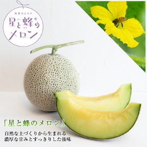 [令和8年度産先行受付]星と蜂のメロン Mサイズ2玉_果物・フルーツ メロン めろん_[配送不可地域:離島]