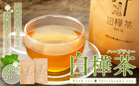 白樺茶 2パック