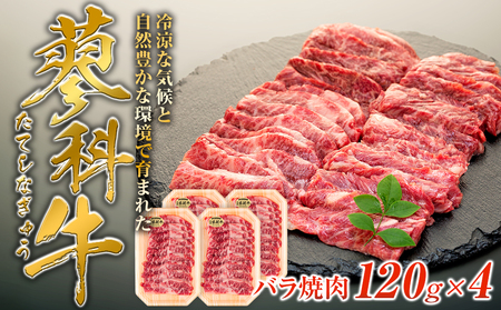 ȋoē120g×4