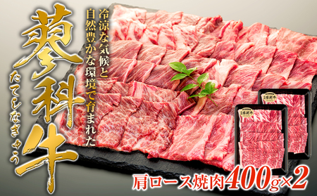 ȋ[Xēp400g×2